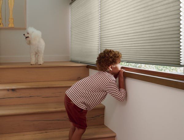 Hunter Douglas Duette® Honeycomb Shades, cellular shades, blackout shades, insulating shades, automation near Jackson, Wyoming (WY).